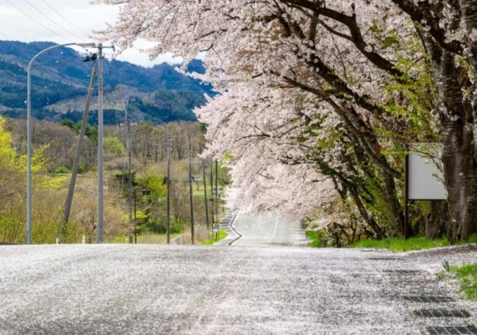 Spring, Day, Neighbourhood, Natural landscape, Other