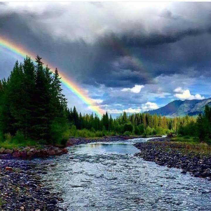 Natural landscape