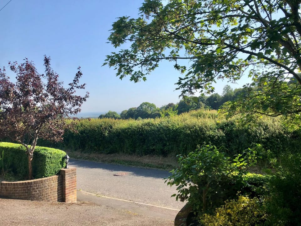 Spring, Day, Neighbourhood, Natural landscape, Garden, View (from property/room), Garden view, Street view, Quiet street view, Parking