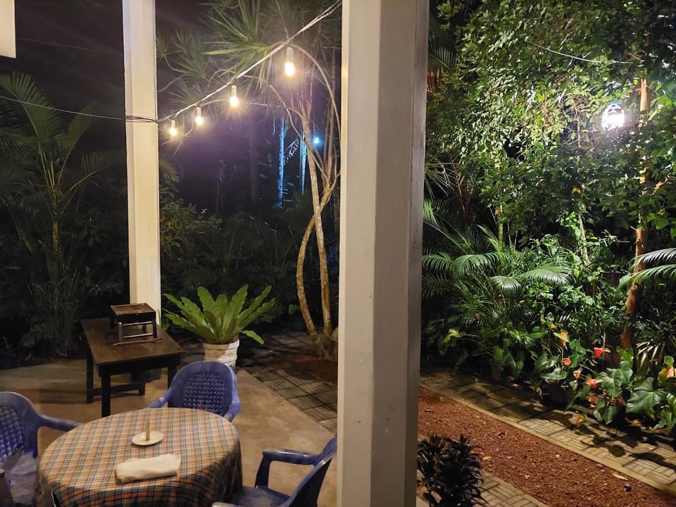 Night, Garden