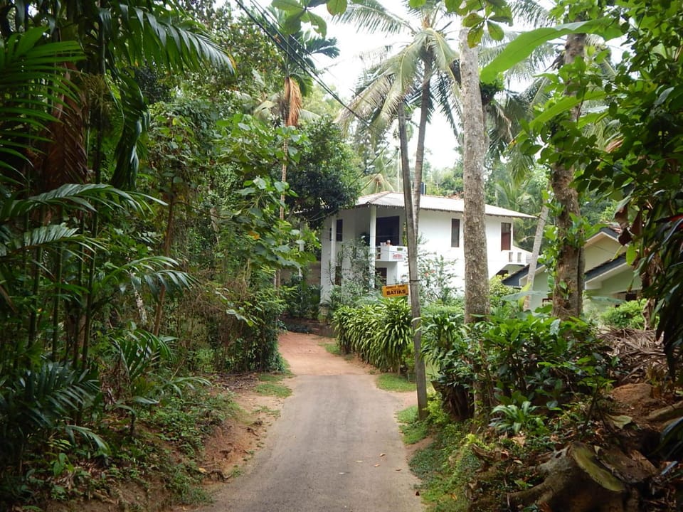 Natural landscape