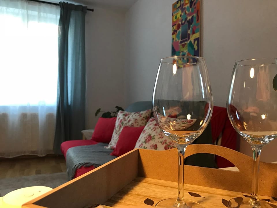 Comfy Apartment Apartment in Romania