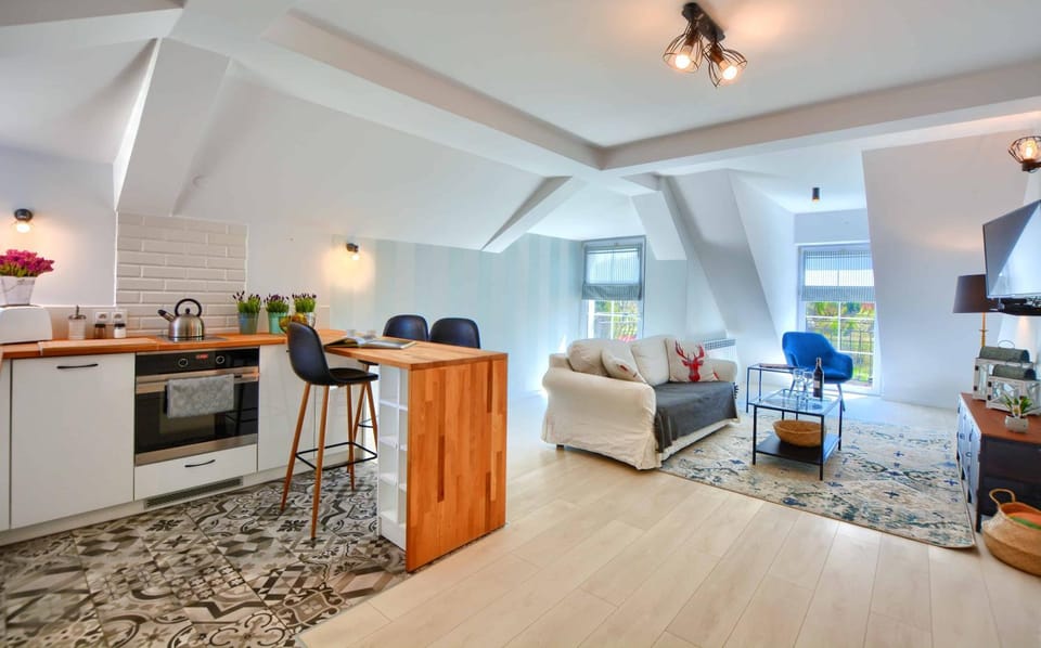 Kitchen or kitchenette, Living room, Photo of the whole room, Decorative detail, Seating area, Dining area