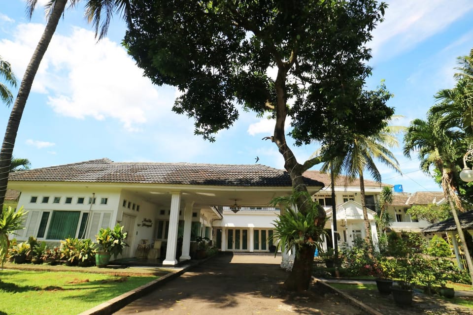Property building, Facade/entrance, Garden
