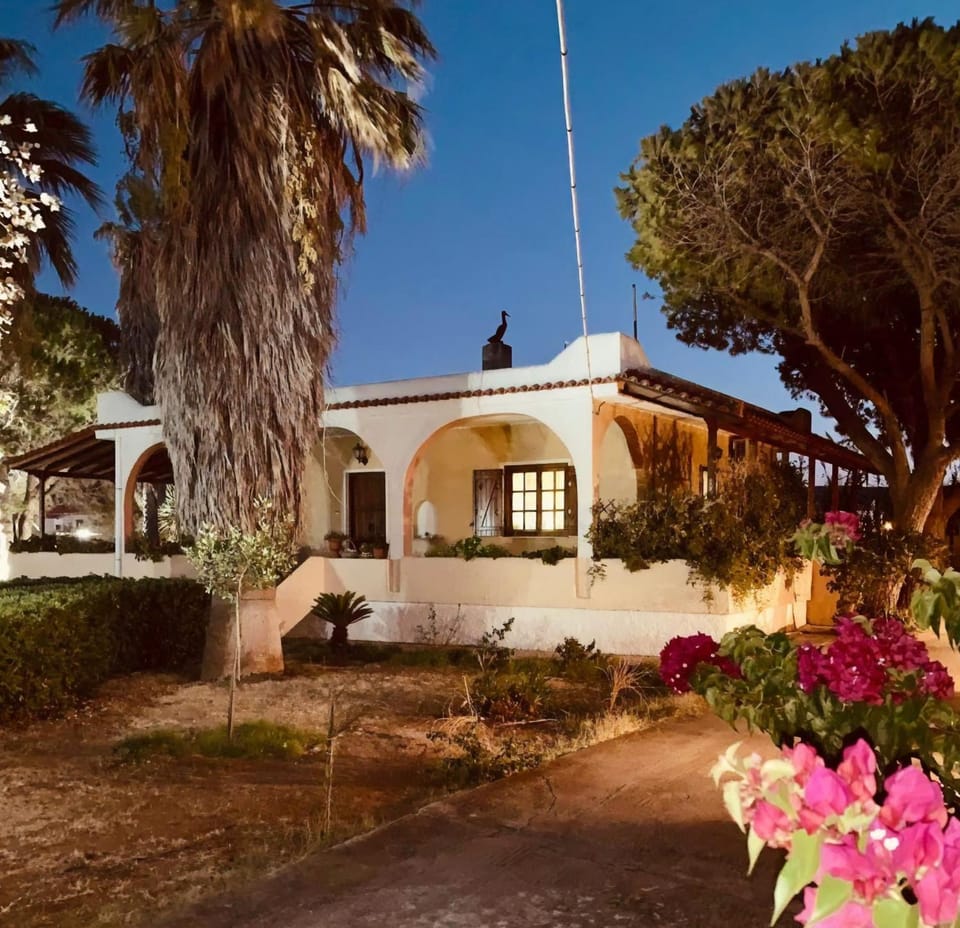 Property building, Facade/entrance, Garden