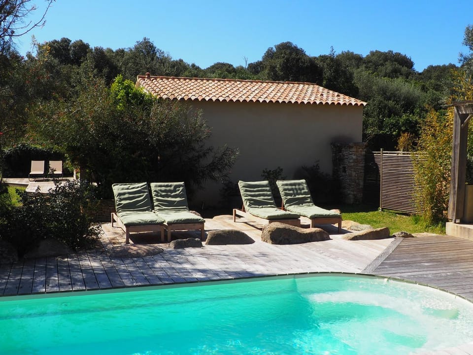 Natural landscape, Garden view, Swimming pool, sunbed