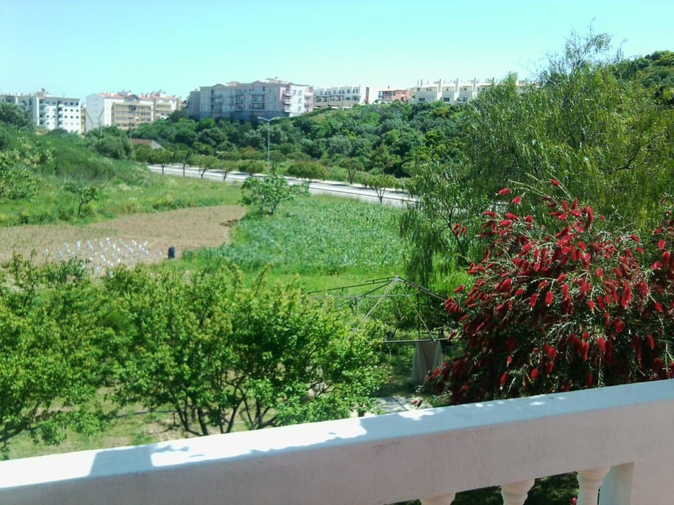 Bird's eye view, Balcony/Terrace