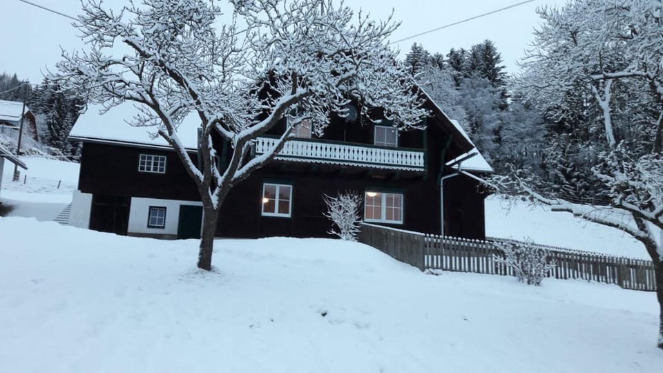 Ferienhütte Antonia House in Carinthia, Austria