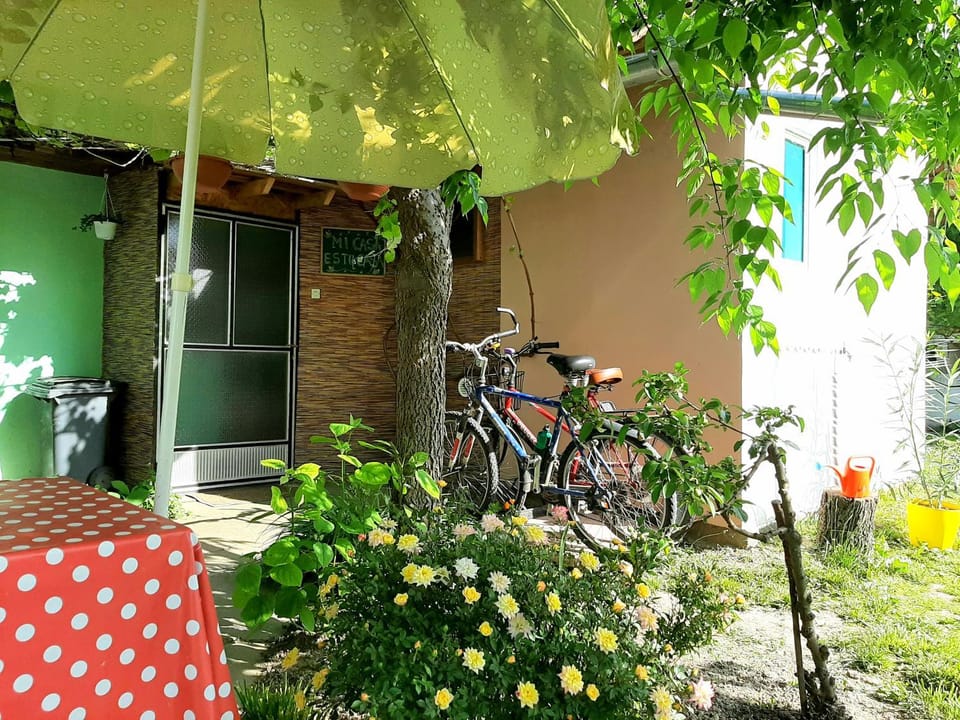 Spring, Day, Garden, Cycling, Garden view