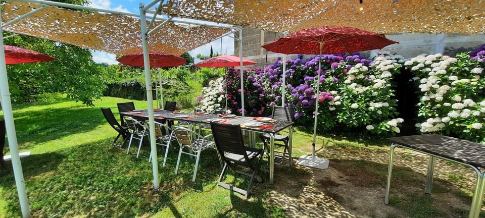 Spring, Garden