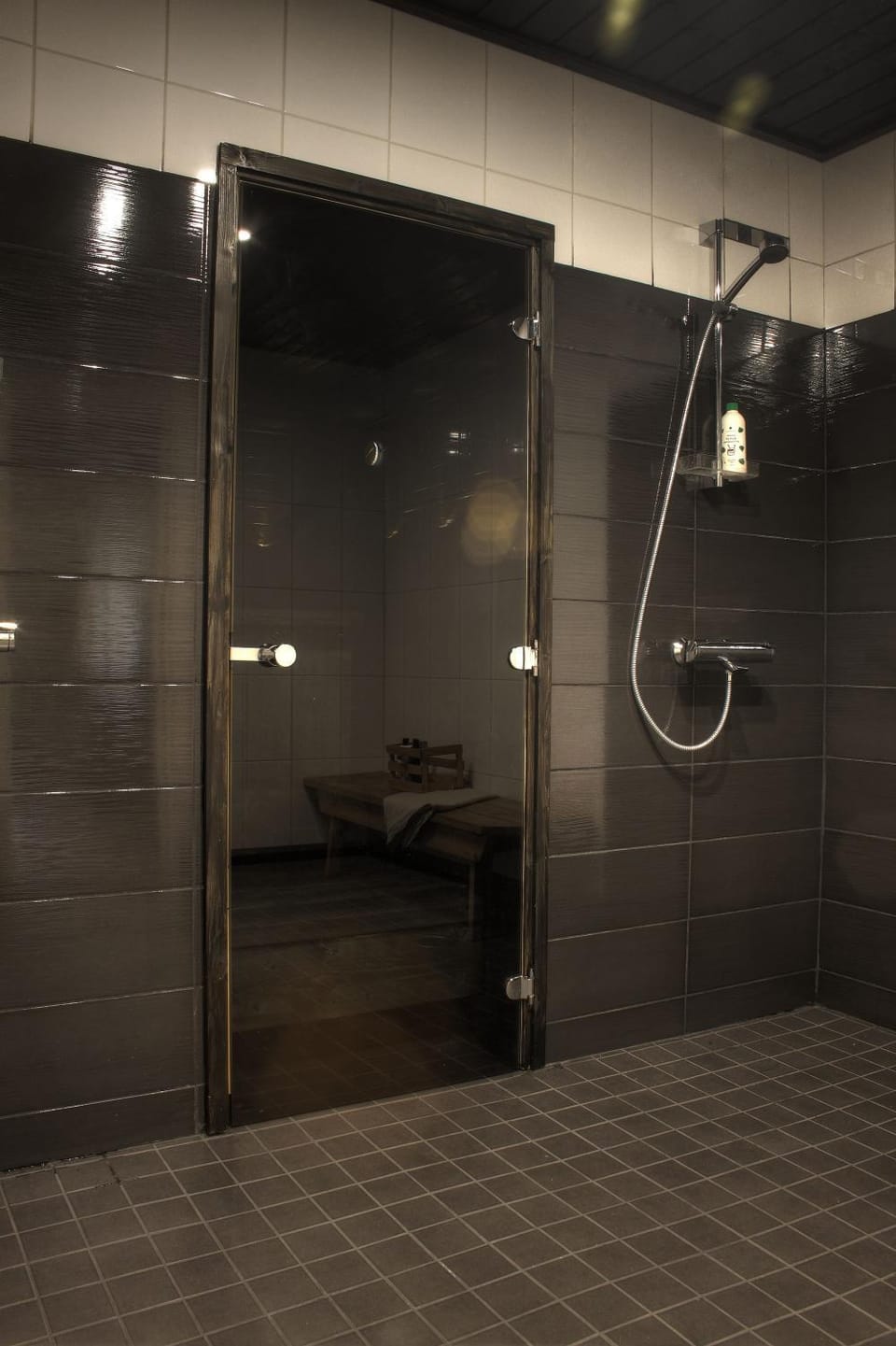 Shower, Sauna, Steam room, Spa and wellness centre/facilities
