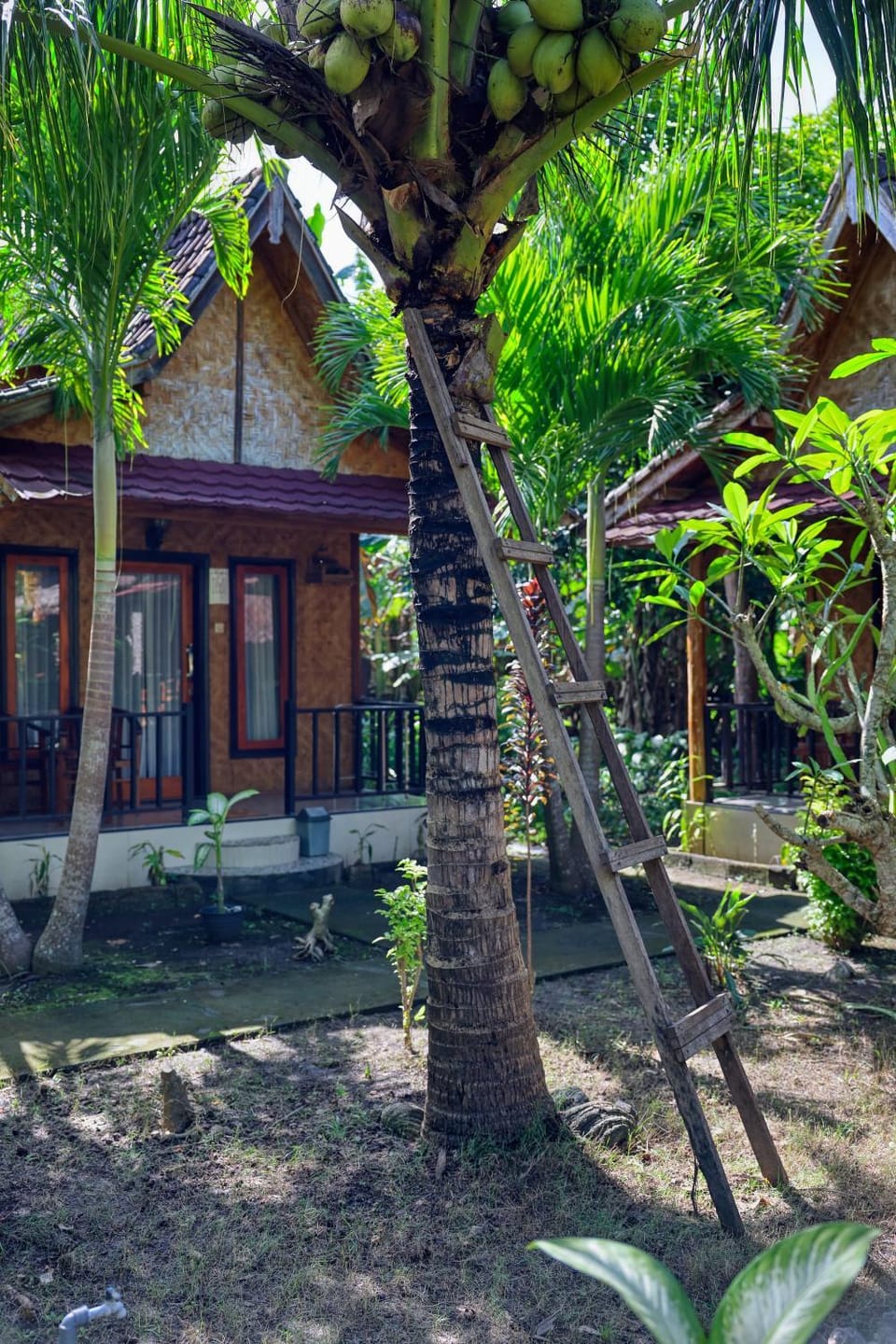 Property building, Garden, Garden view