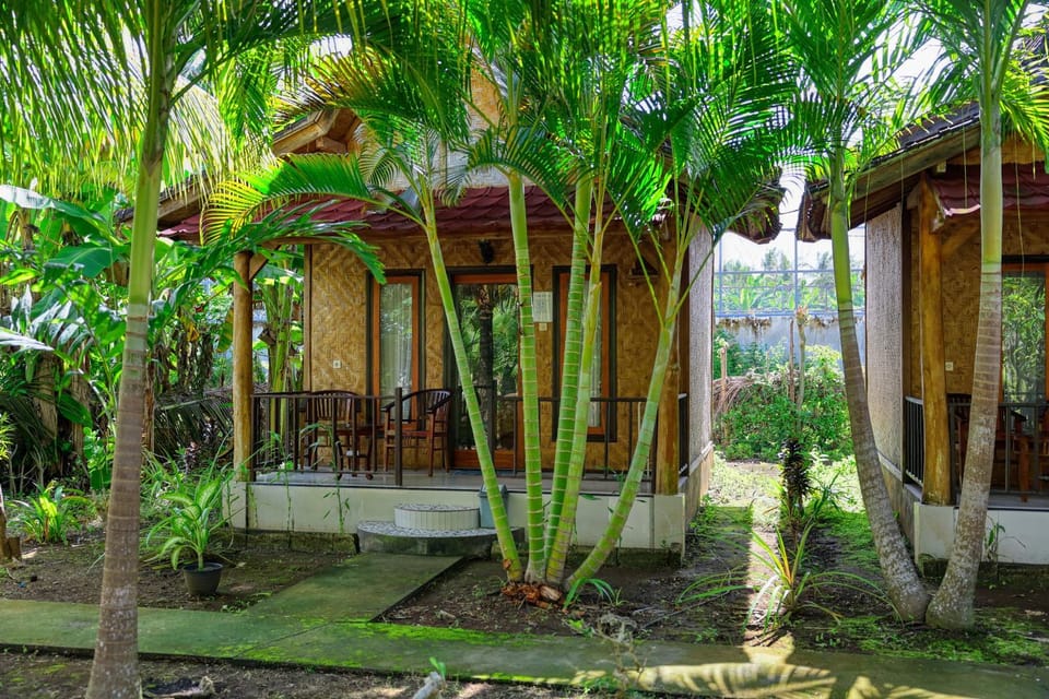 Property building, Garden, Seating area, Garden view