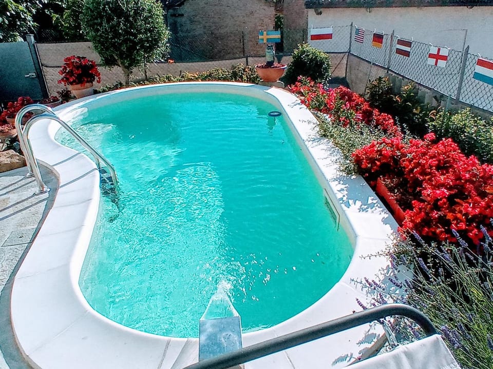Swimming pool, Swimming pool