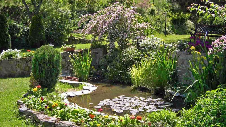 Garden view