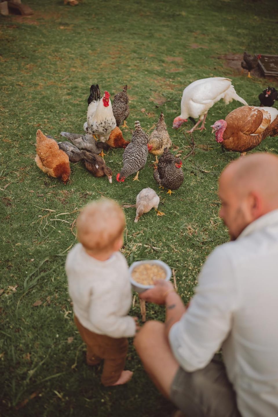 Animals, children