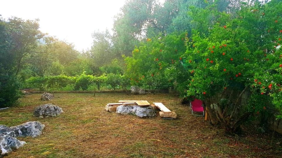 Patio, Garden, Garden view