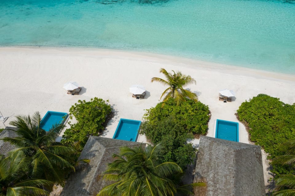Natural landscape, Beach, Pool view, Sea view, Swimming pool, sunbed