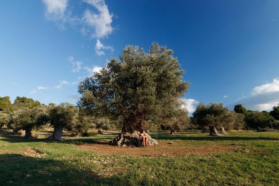 Natural landscape, Garden