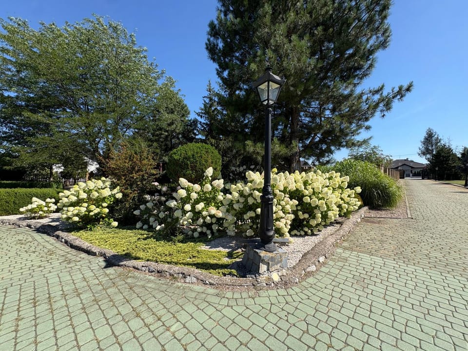 Spring, Natural landscape, Garden, Garden view