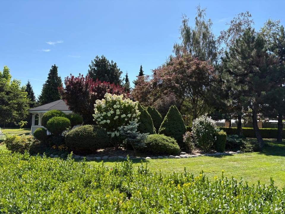 Spring, Natural landscape, Garden, Garden view