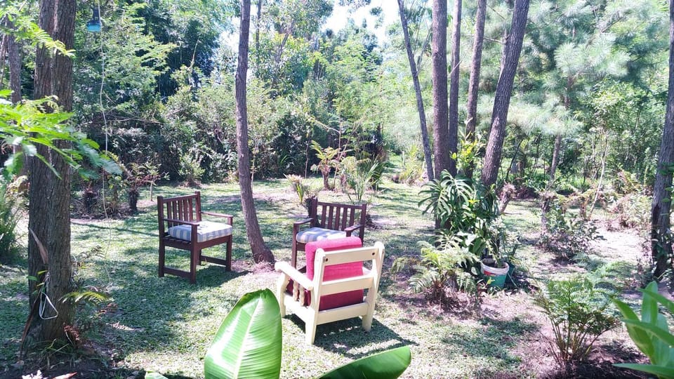 Natural landscape, Garden view