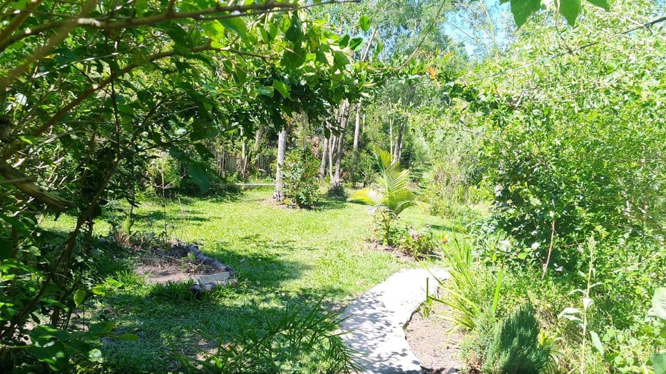 Natural landscape, Garden, Garden view