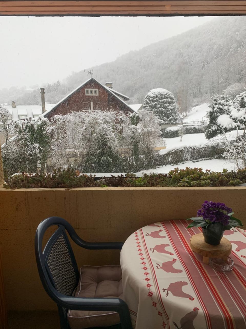 Appartement vue montagne avec wifi Apartment in Saint-Lary-Soulan