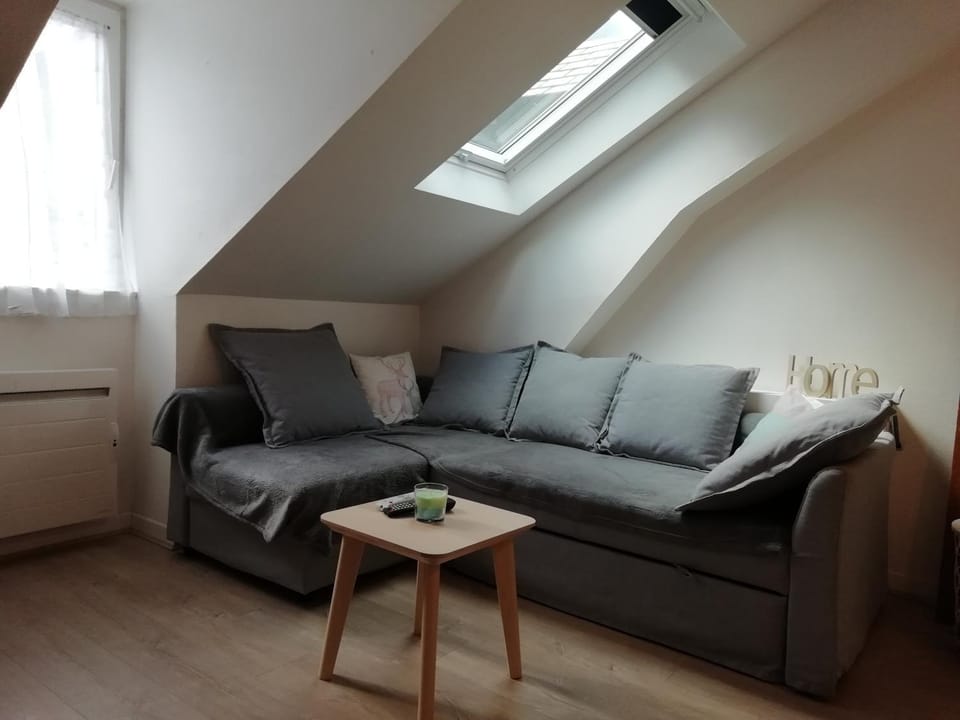 Au pied du télécabine, T3 50m2 pour 8 personnes. Cabin in Cauterets