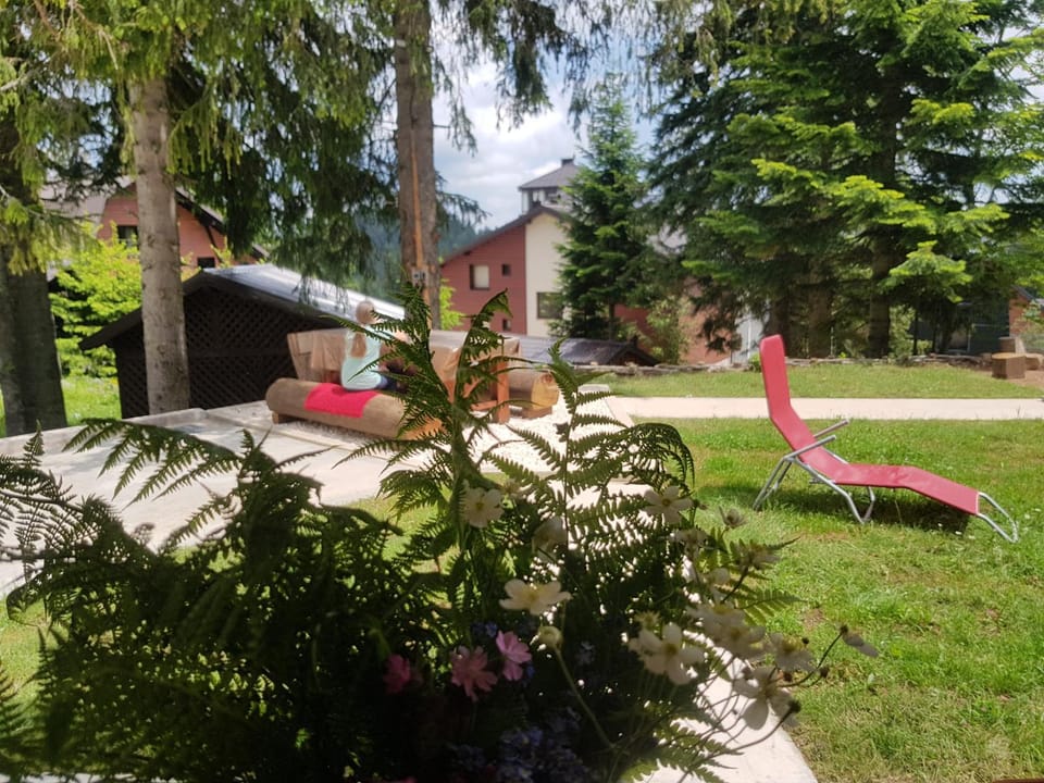 Terra Relax - ski in-ski out, apartman sa saunom, kaminom i parkingom Apartment in Federation of Bosnia and Herzegovina