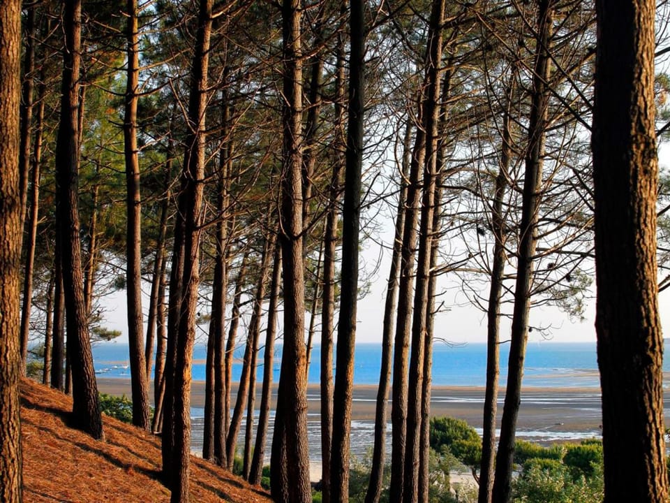 Arcachon - Superbe T3 avec terrasse, piscine et parking sécurisé - 6 personnes - FR-1-420-33 Apartment in Arcachon