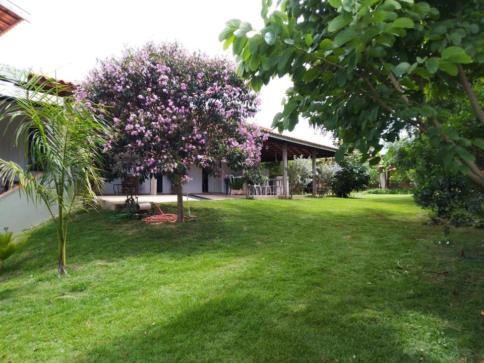 Garden, Garden