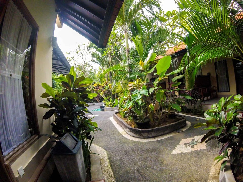 Balcony/Terrace, Garden view