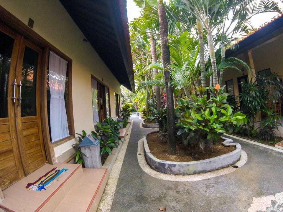 Garden view