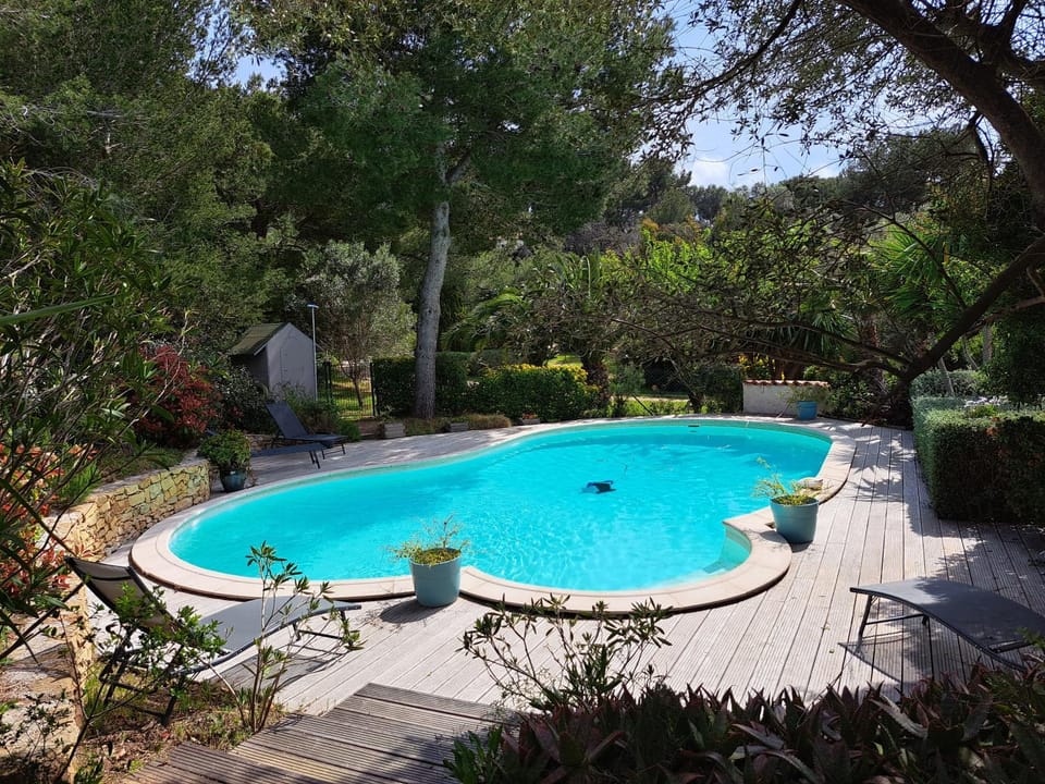 Garden, Garden view, Pool view, Swimming pool, sunbed
