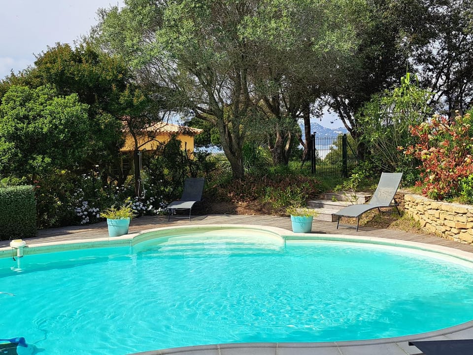 Garden, Garden view, Pool view, Swimming pool, sunbed