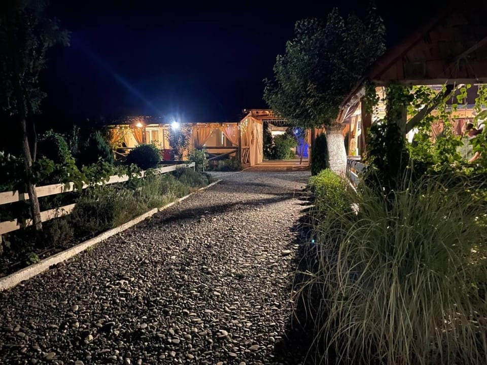 Property building, Night, Garden view
