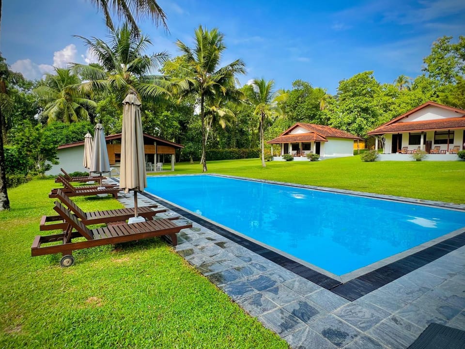 Swimming pool, Swimming pool