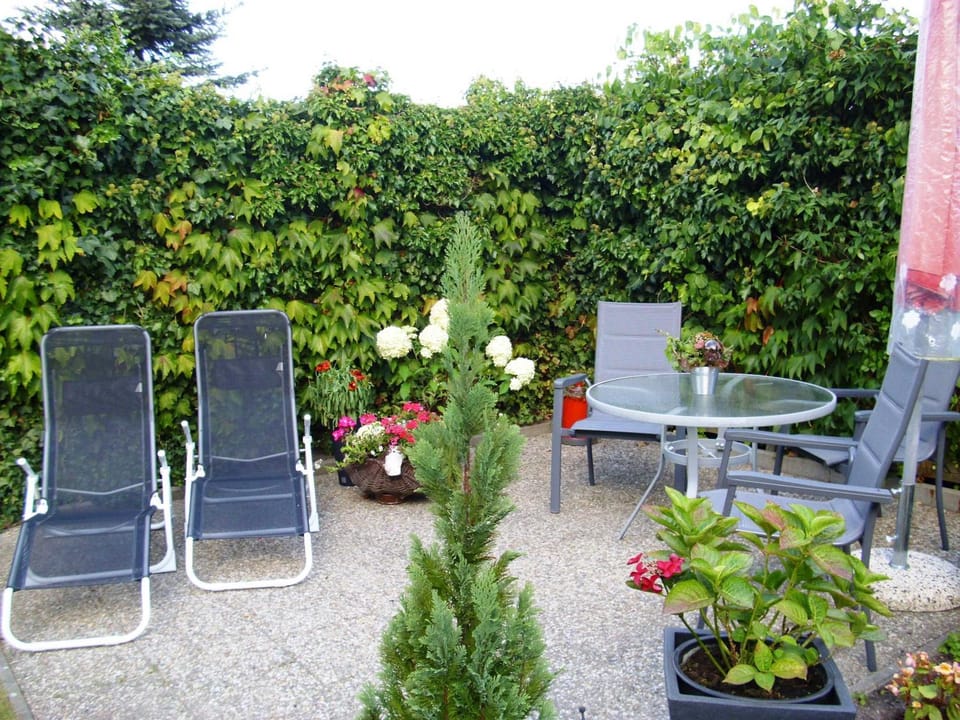 Patio, Garden