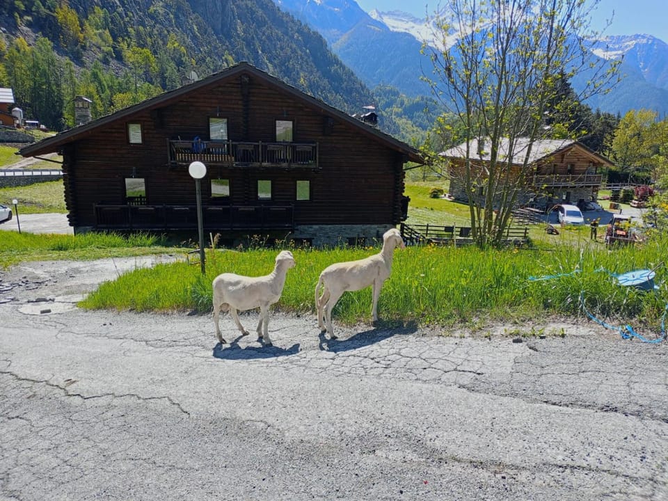 Agriturismo Les Hiboux Country House in Aosta