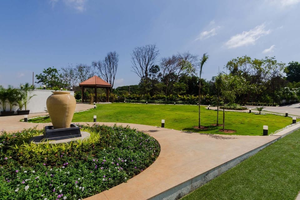 Garden view