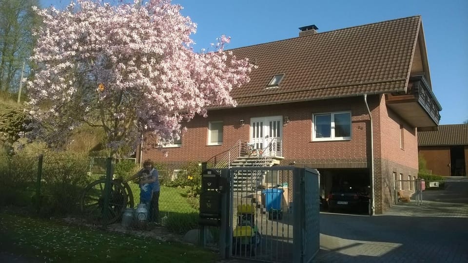 Property building, Spring, Garden