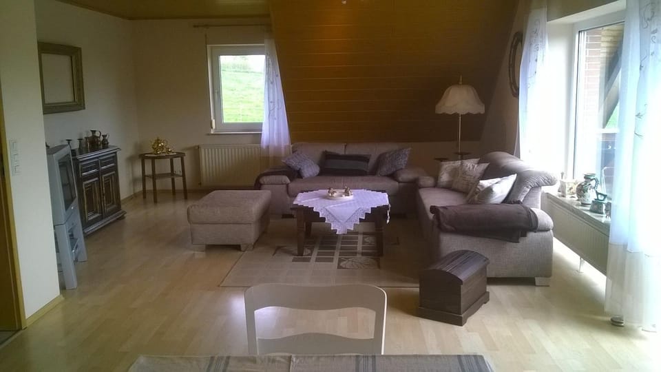 Living room, Photo of the whole room, Decorative detail, Seating area, Dining area