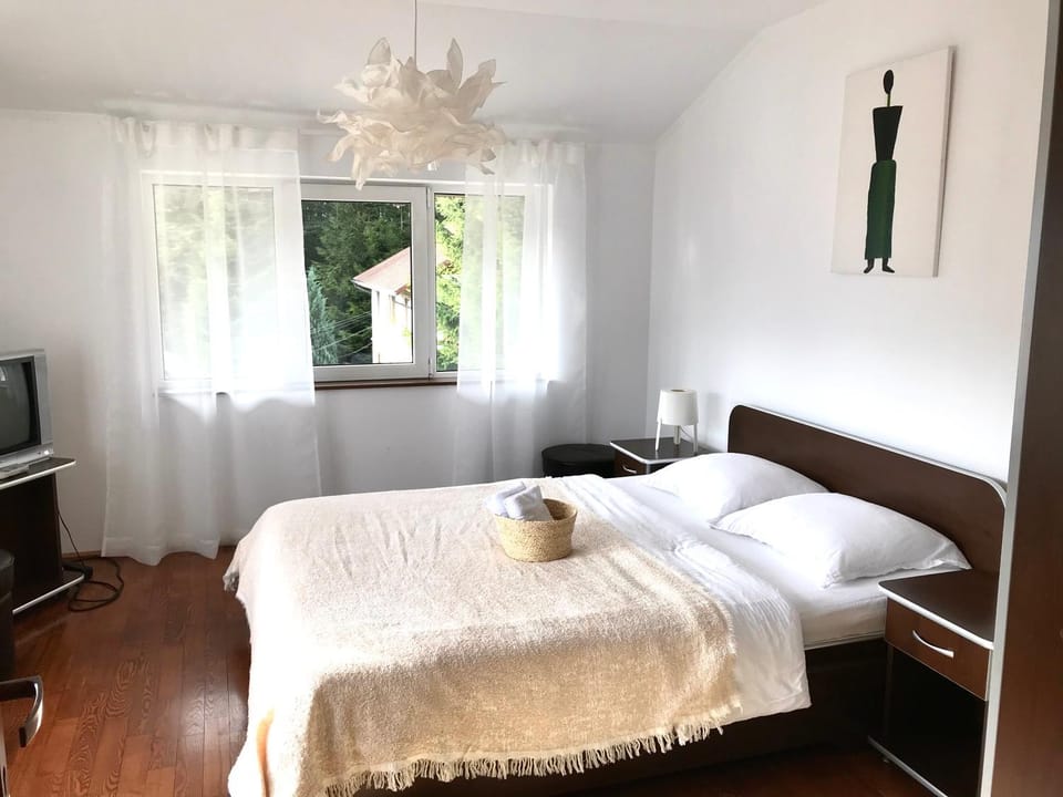 AmurguluiBnB 3-Bedroom Bucegi Mountains Retreat Apartment in Prahova, Romania