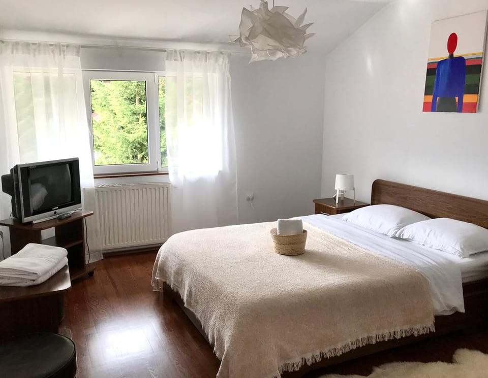 AmurguluiBnB 3-Bedroom Bucegi Mountains Retreat Apartment in Prahova, Romania