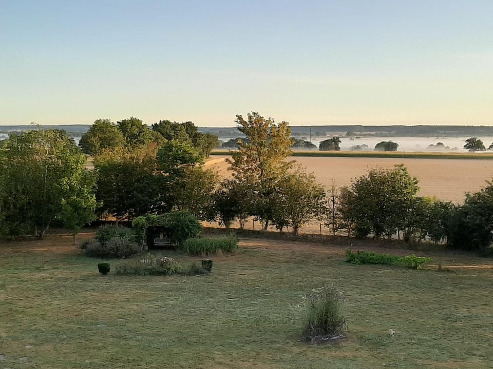 Garden, Garden view