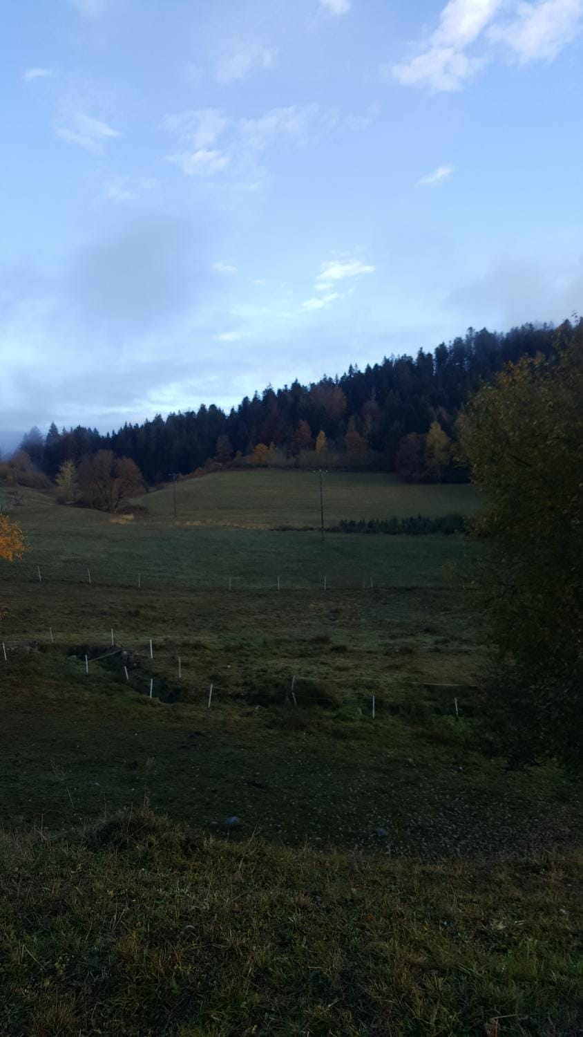résidence vallée des lacs Apartment in Vosges