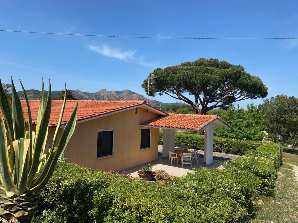 Natural landscape, Garden view