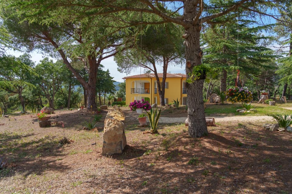 Property building, Natural landscape, Garden, Garden view