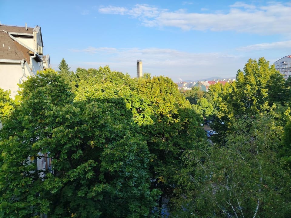 City view